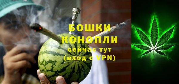 дживик Богородск