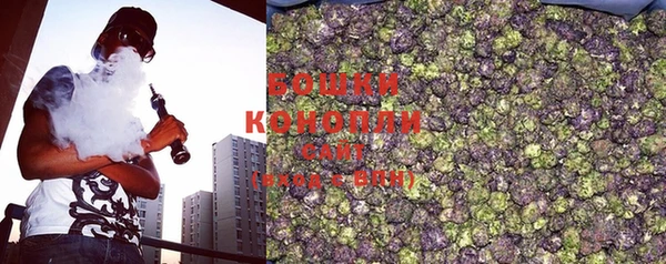 дживик Богородск