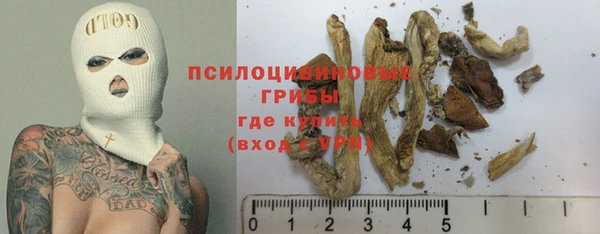 дурь Богданович