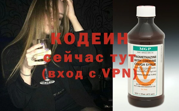 дживик Богородск