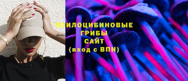 дживик Богородск