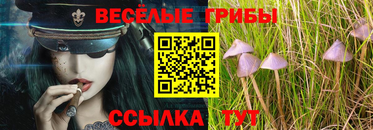 Реж  Галлюциногенные грибы GOLDEN TEACHER  Вход с VPN 